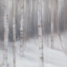 'Birch Wood' oil on canvas SOLD