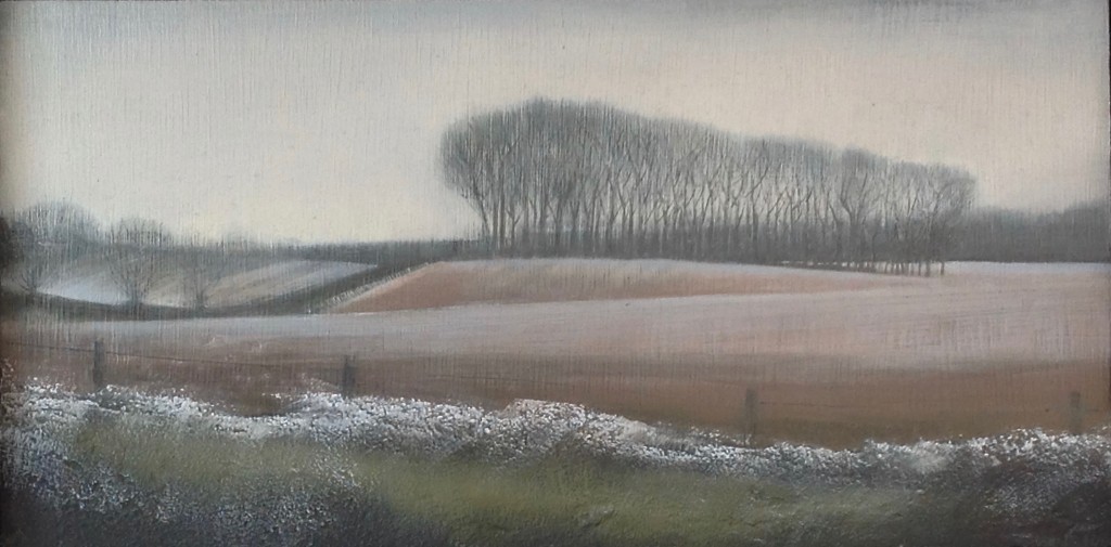 'Winter Field' mixed media 15 x 30 cm
