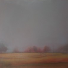 'Misty Field 2' oil on linen 61 x 61 cm SOLD