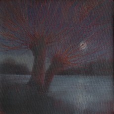'Moon Across the Lake' oil on   canvas board 15x15cm  £150 SOLD
